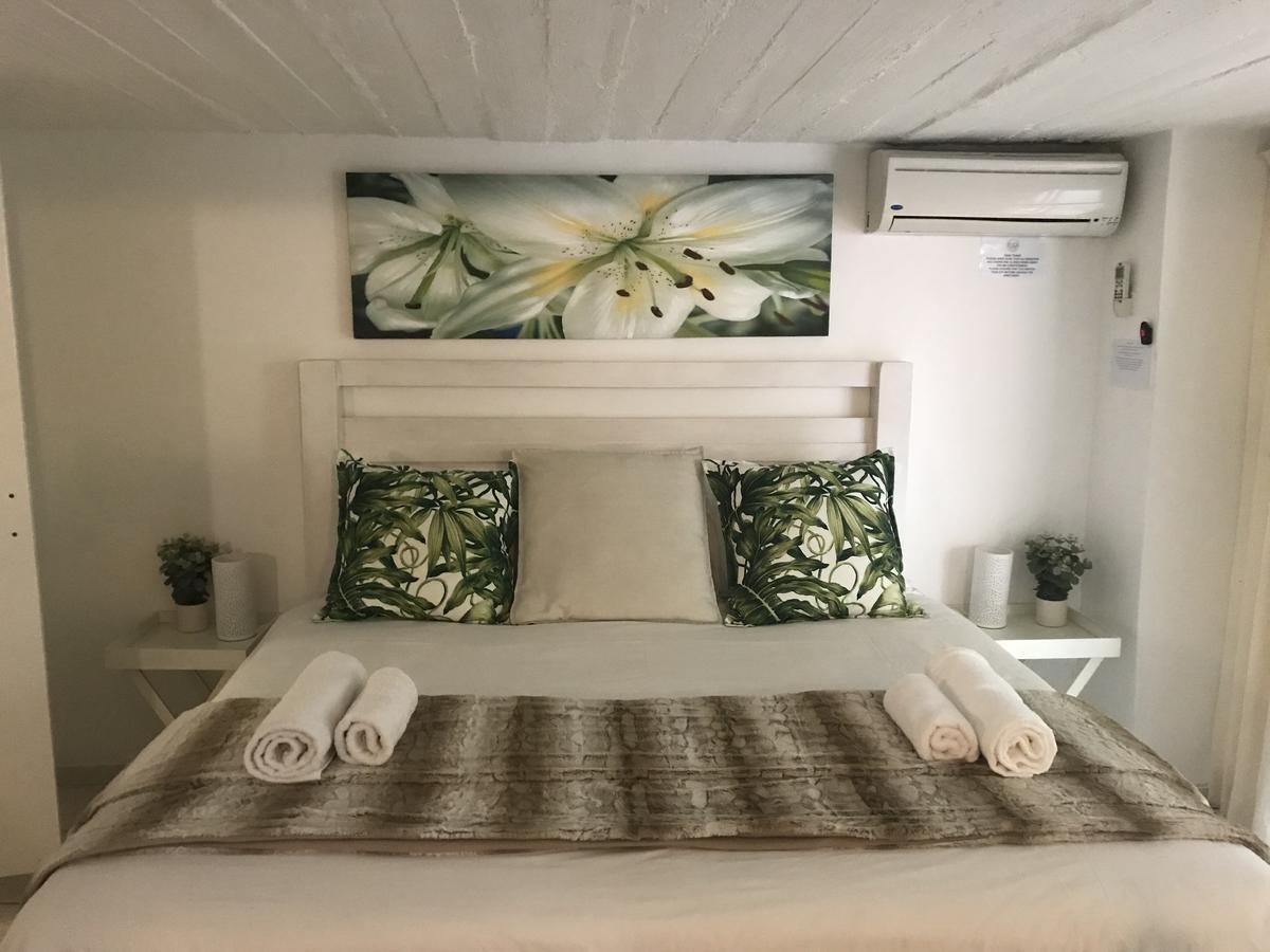 Beach Forest Lodge บัลลิโต ภายนอก รูปภาพ