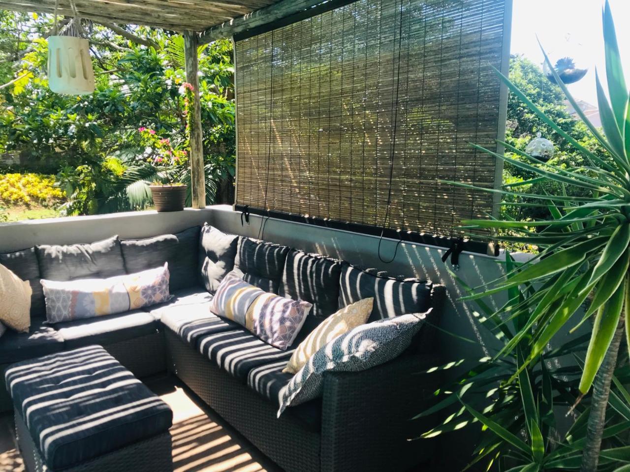 Beach Forest Lodge บัลลิโต ภายนอก รูปภาพ