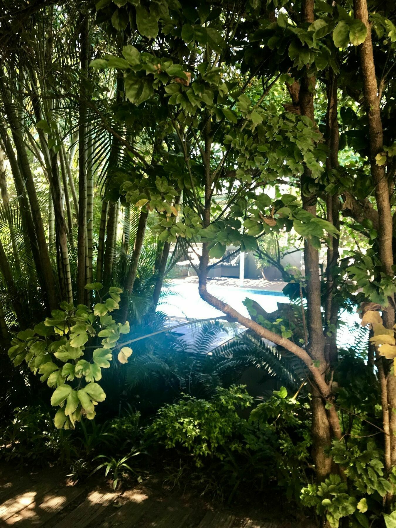 Beach Forest Lodge บัลลิโต ภายนอก รูปภาพ